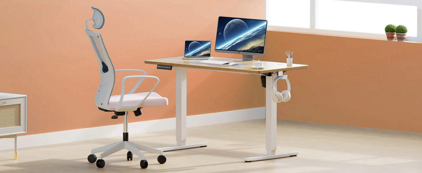 Electric Ergonomic Workstation
